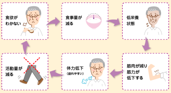▲転倒、骨折の危険性が高くなる
