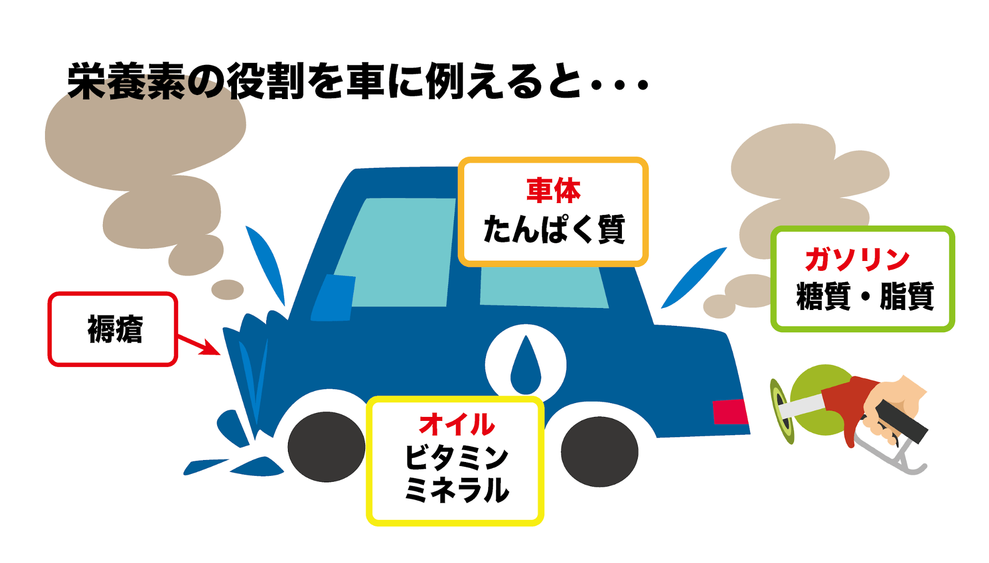 ▲栄養素の役割を車に例えると…